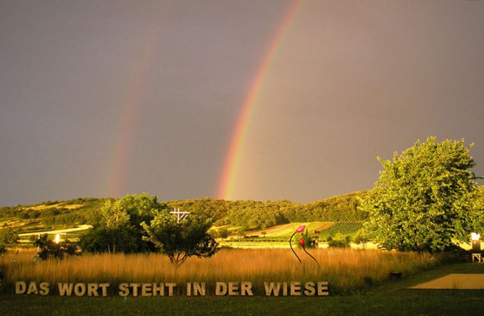 "DAS WORT STEHT IN DER WIESE"
