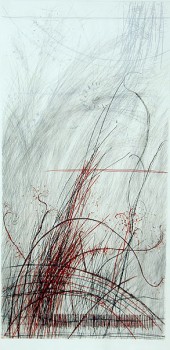 die wilde Rose III