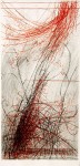 die wilde Rose IV