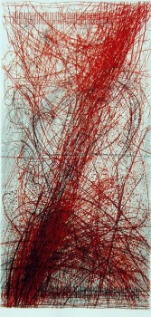 die wilde Rose VIII