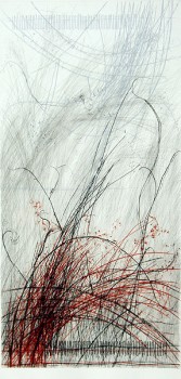 die wilde Rose X